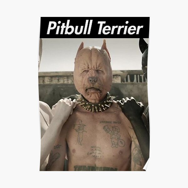 "Pitbull Terrier DIE ANTWOORD" Poster For Sale By NelsonRommel | Redbubble