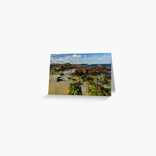 Item preview, Mystery Bay designed and sold by Terry Everson.