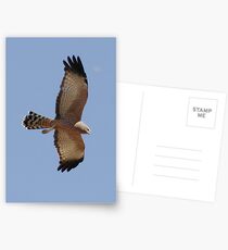 Harrier High School Postcards