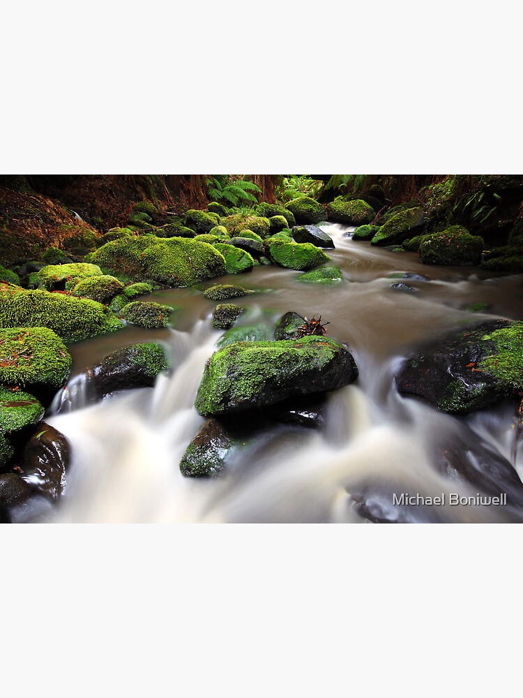 Thumbnail 3 of 3, Canvas Print, Verdant Stream, Otways, Great Ocean Road, Australia designed and sold by Michael Boniwell.