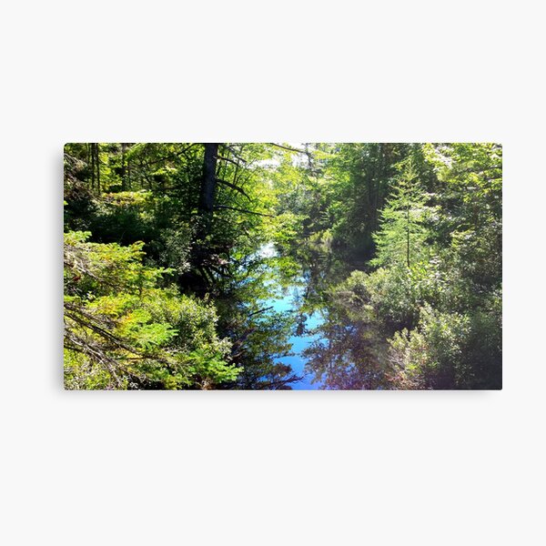 Item preview, Moment in the Forest, Reflections designed and sold by Totallyalive.