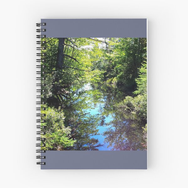 Item preview, Moment in the Forest, Reflections designed and sold by Totallyalive.