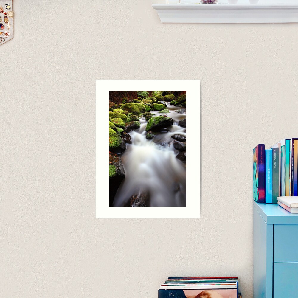 Verdant Stream, Otways, Great Ocean Road, Australia Art Print