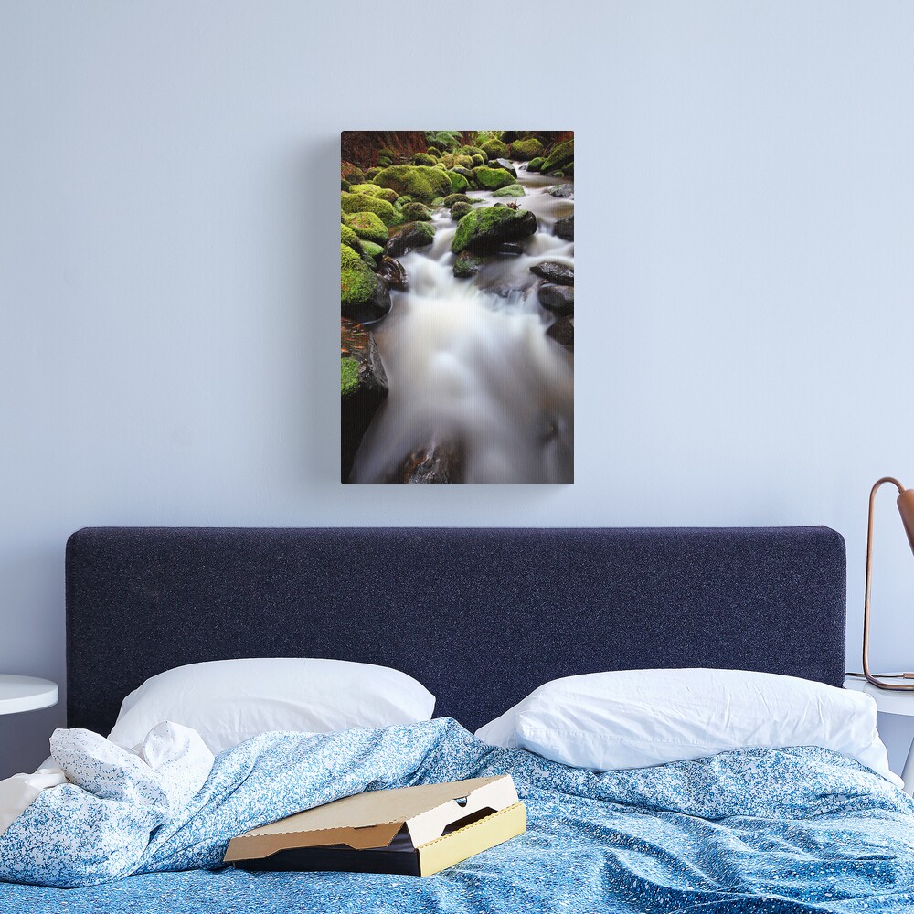 Verdant Stream, Otways, Great Ocean Road, Australia Canvas Print