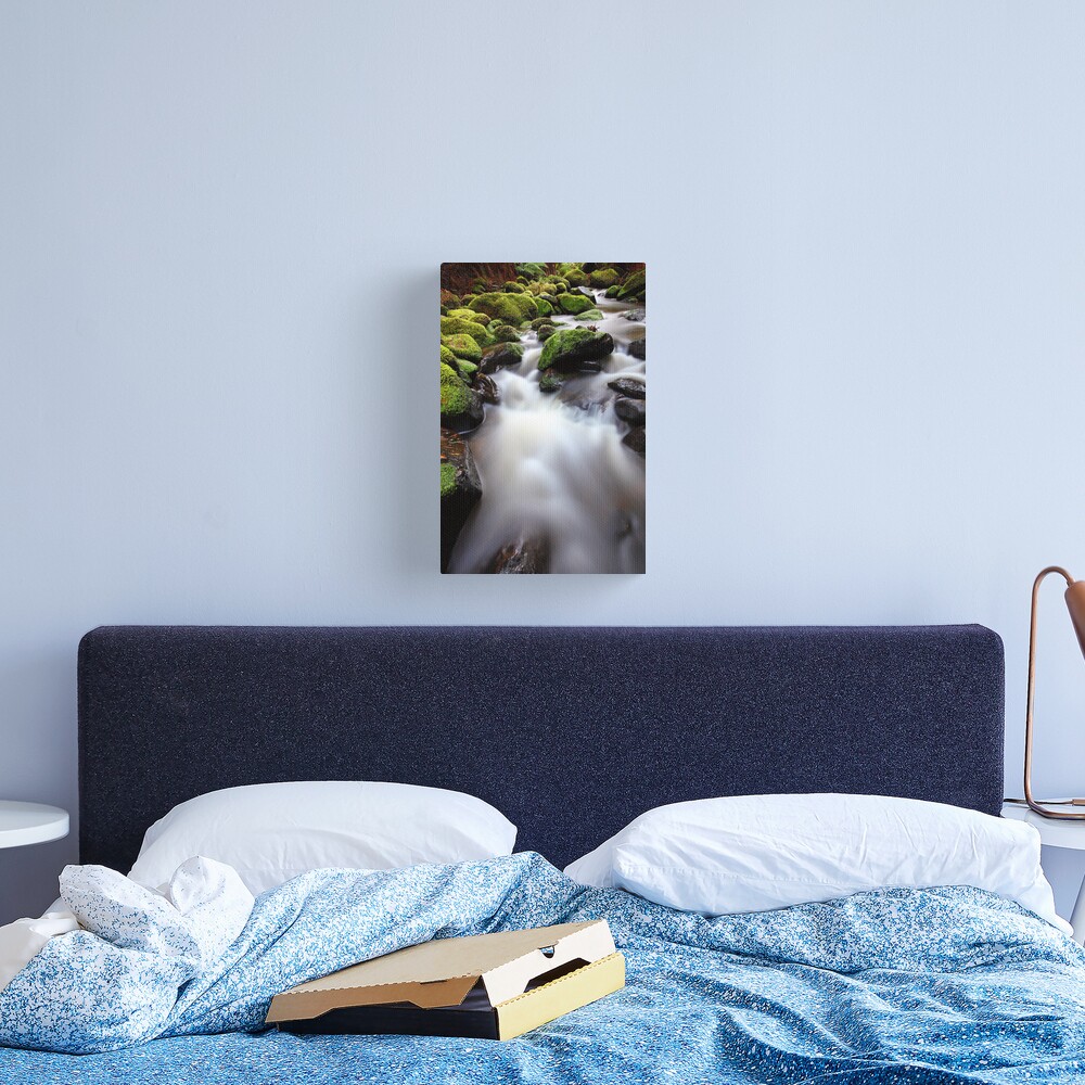 Verdant Stream, Otways, Great Ocean Road, Australia Canvas Print