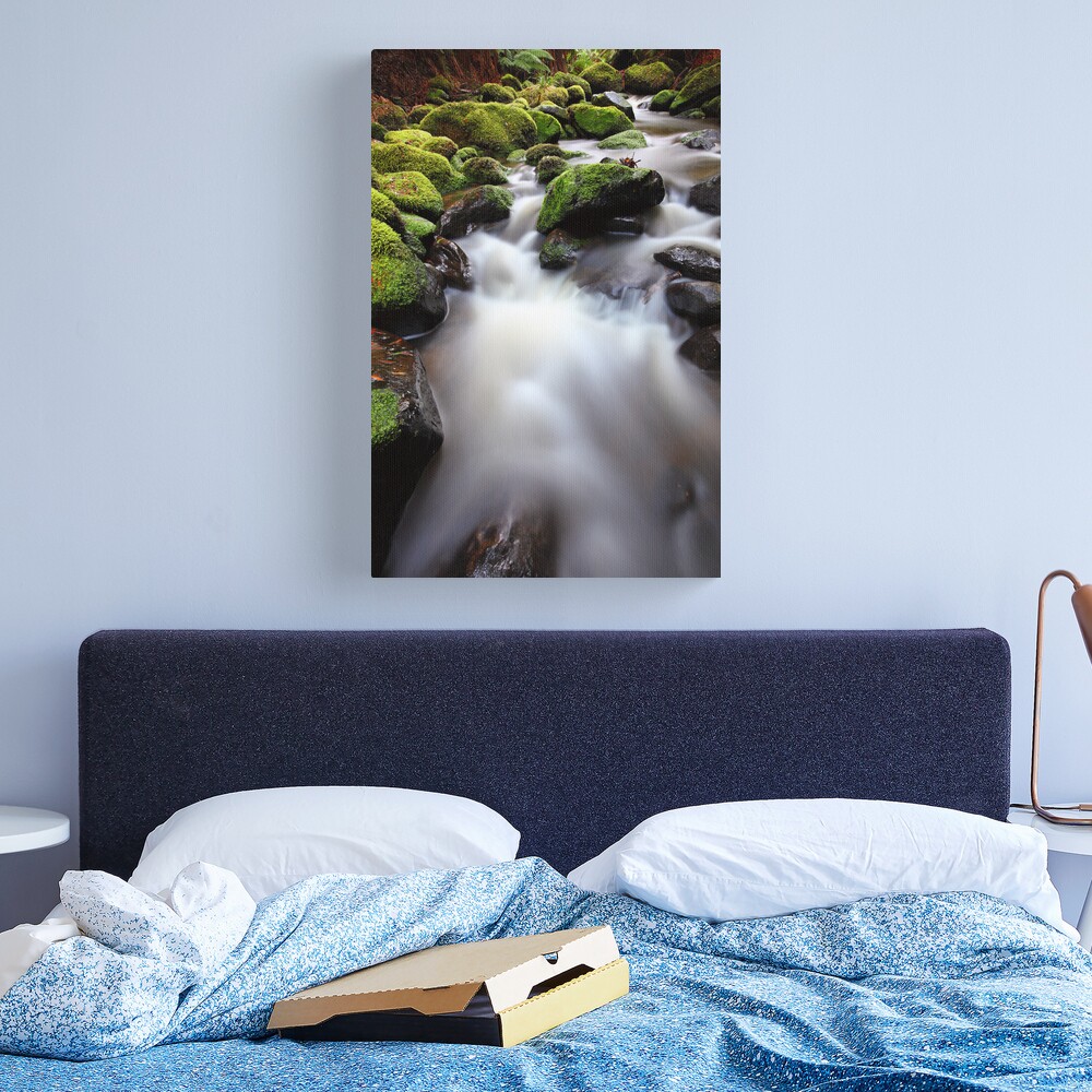 Verdant Stream, Otways, Great Ocean Road, Australia Canvas Print