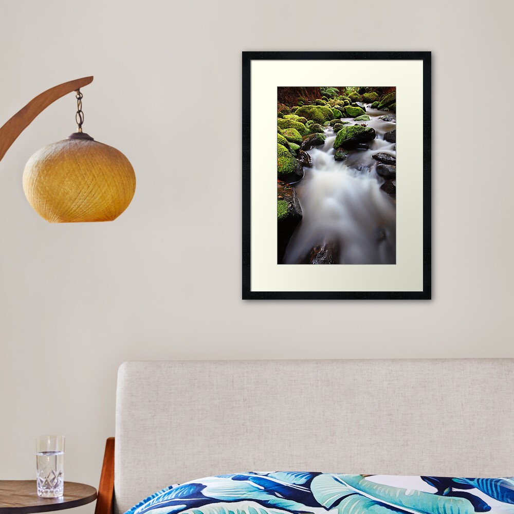 Verdant Stream, Otways, Great Ocean Road, Australia Framed Art Print