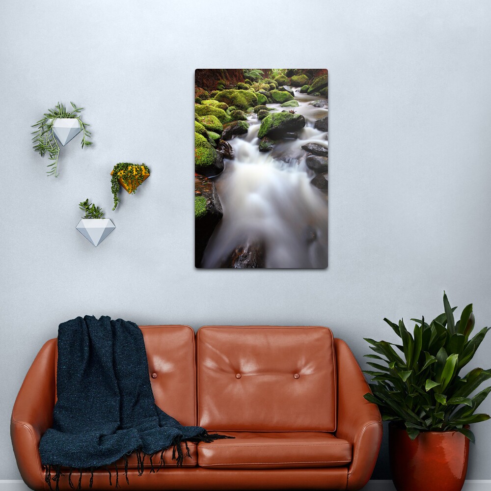 Verdant Stream, Otways, Great Ocean Road, Australia Metal Print