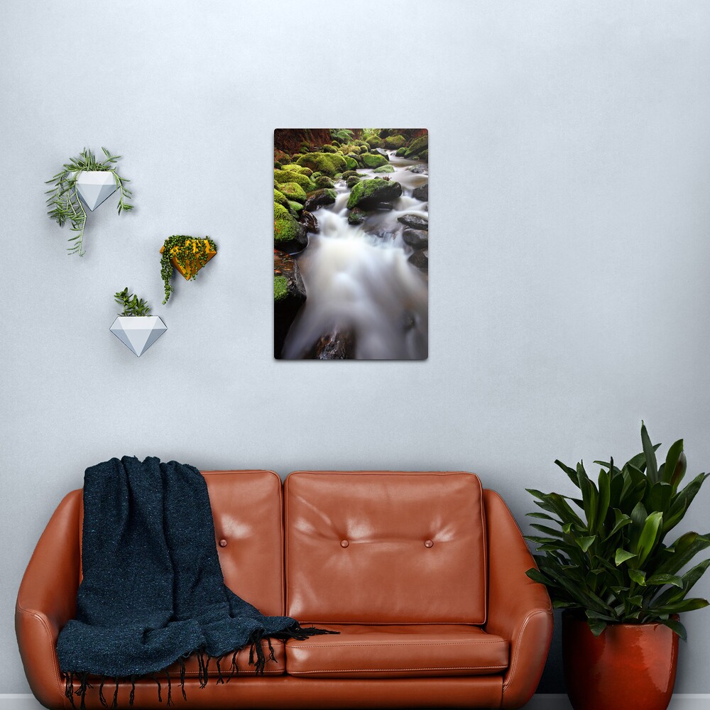 Verdant Stream, Otways, Great Ocean Road, Australia Metal Print