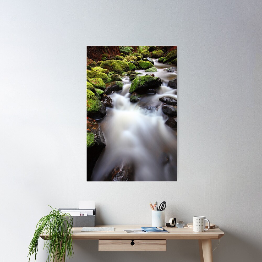 Verdant Stream, Otways, Great Ocean Road, Australia Poster
