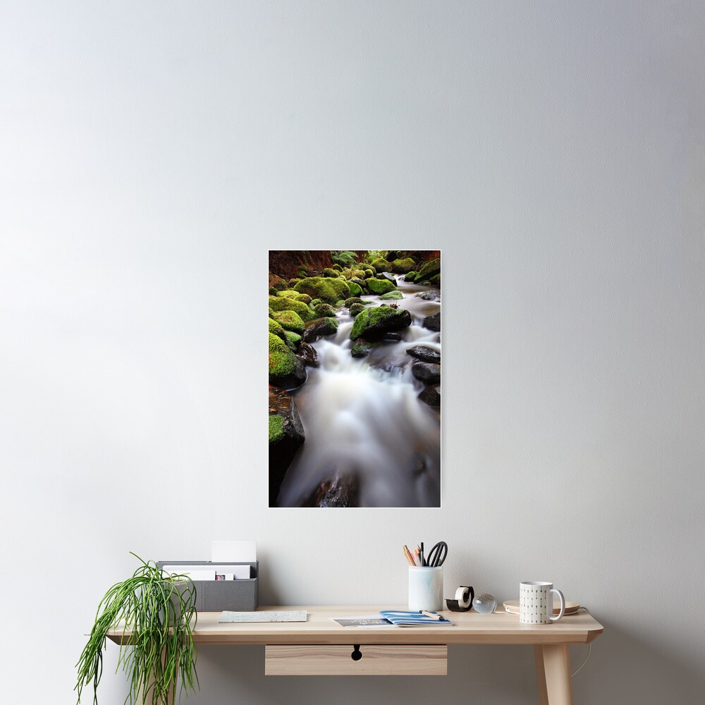 Verdant Stream, Otways, Great Ocean Road, Australia Poster