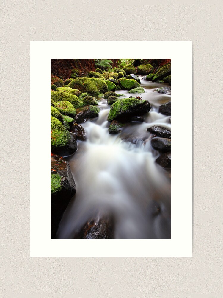 Alternate view of Verdant Stream, Otways, Great Ocean Road, Australia Art Print