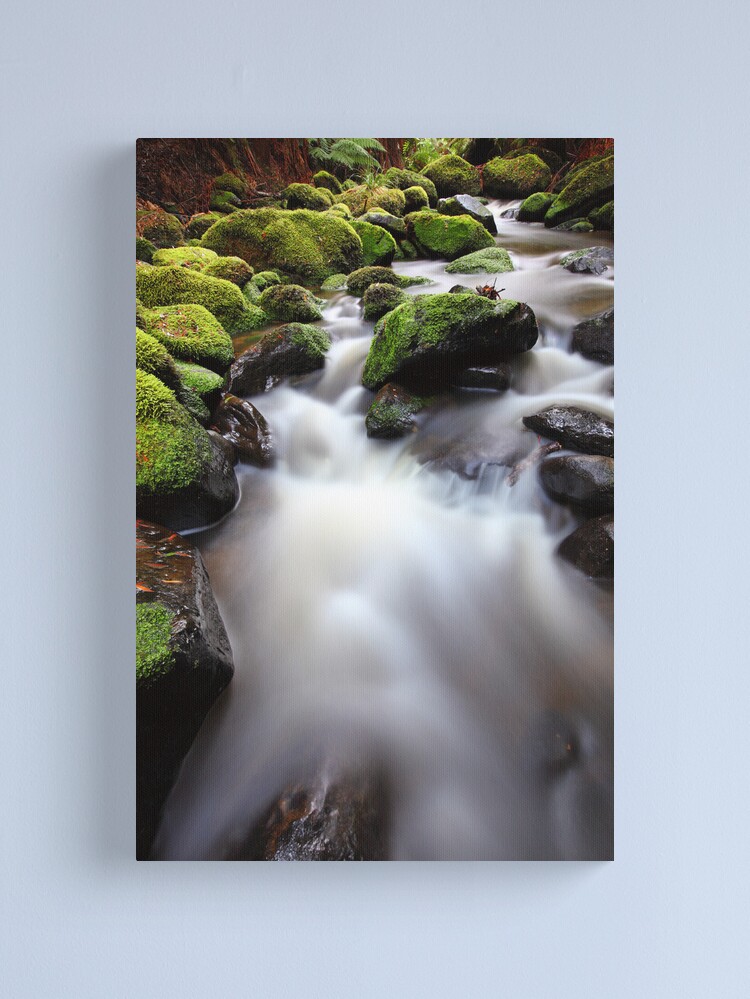 Alternate view of Verdant Stream, Otways, Great Ocean Road, Australia Canvas Print