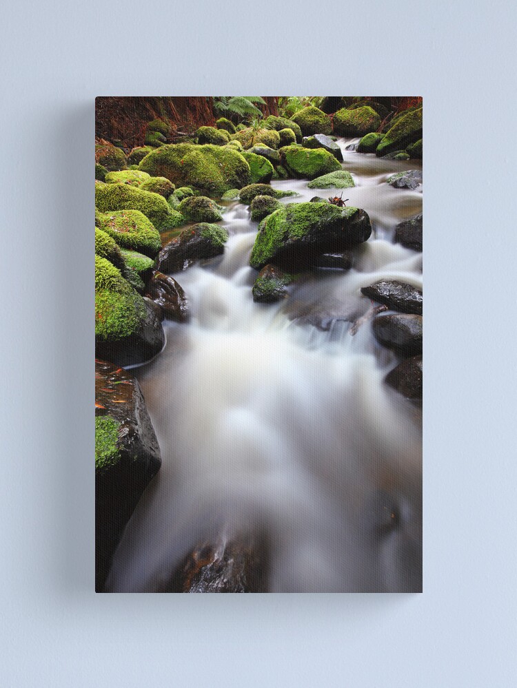 Alternate view of Verdant Stream, Otways, Great Ocean Road, Australia Canvas Print