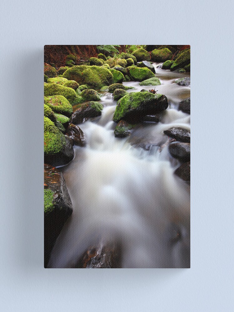 Alternate view of Verdant Stream, Otways, Great Ocean Road, Australia Canvas Print