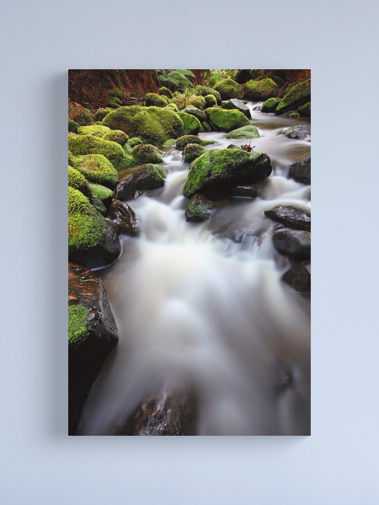 Alternate view of Verdant Stream, Otways, Great Ocean Road, Australia Canvas Print