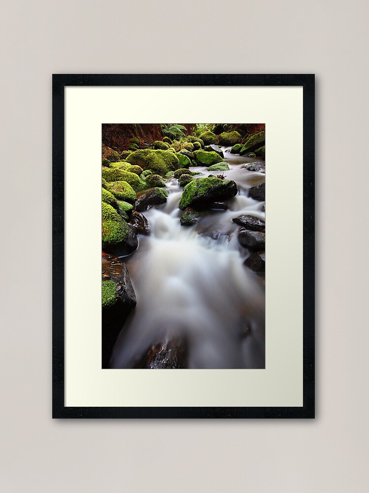 Alternate view of Verdant Stream, Otways, Great Ocean Road, Australia Framed Art Print