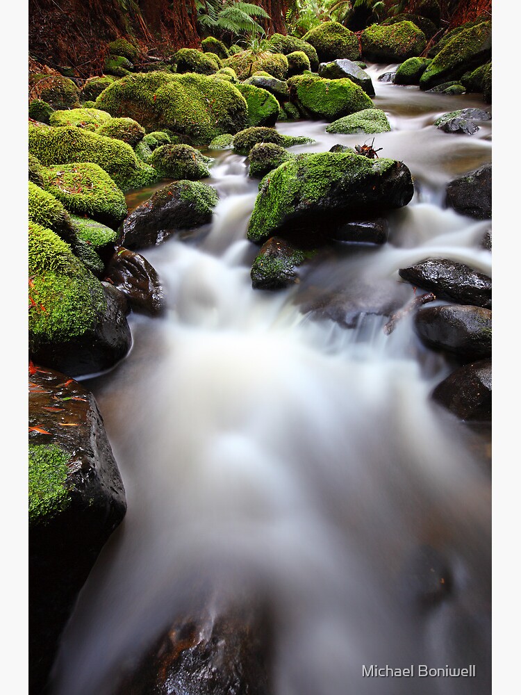Verdant Stream, Otways, Great Ocean Road, Australia by Chockstone