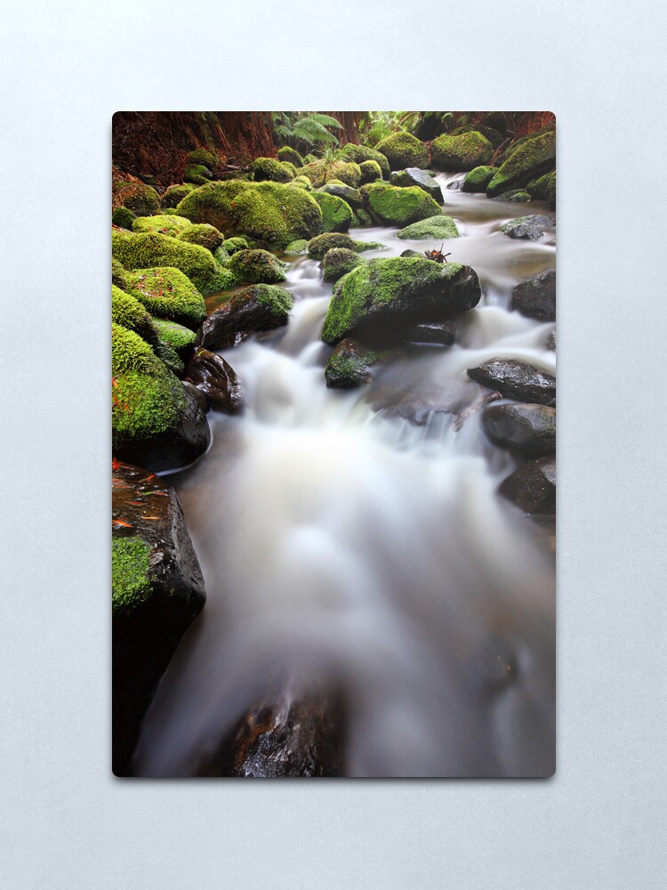 Alternate view of Verdant Stream, Otways, Great Ocean Road, Australia Metal Print
