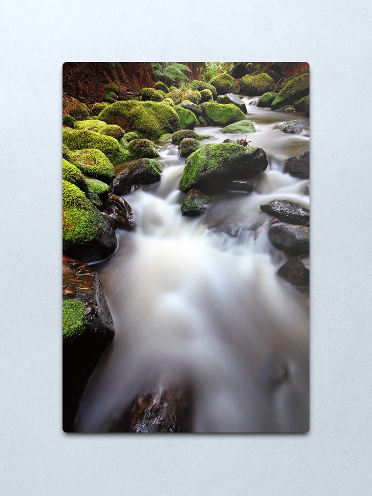 Alternate view of Verdant Stream, Otways, Great Ocean Road, Australia Metal Print