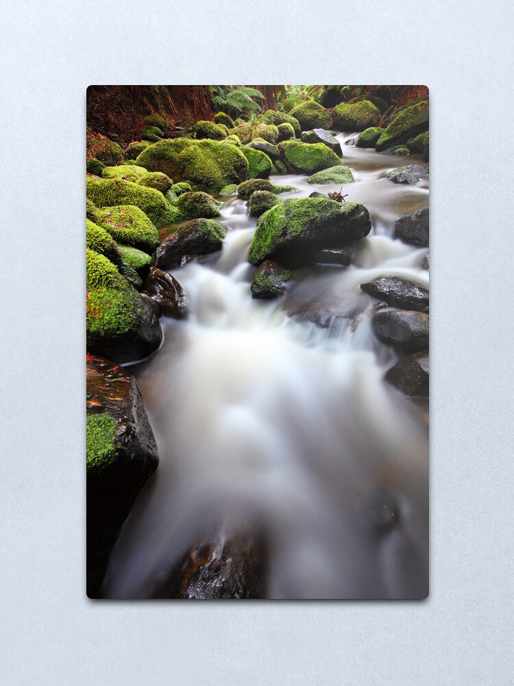 Alternate view of Verdant Stream, Otways, Great Ocean Road, Australia Metal Print
