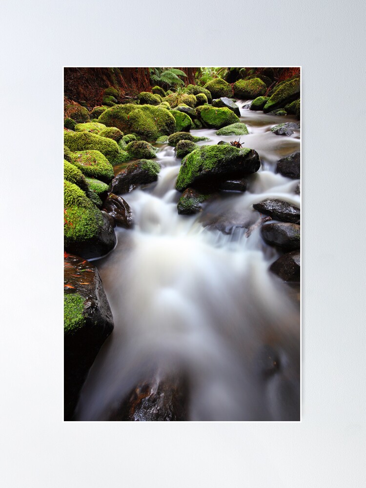 Alternate view of Verdant Stream, Otways, Great Ocean Road, Australia Poster