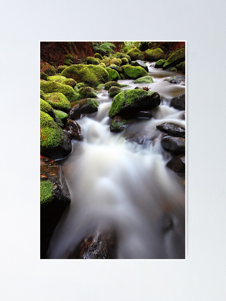 Alternate view of Verdant Stream, Otways, Great Ocean Road, Australia Poster