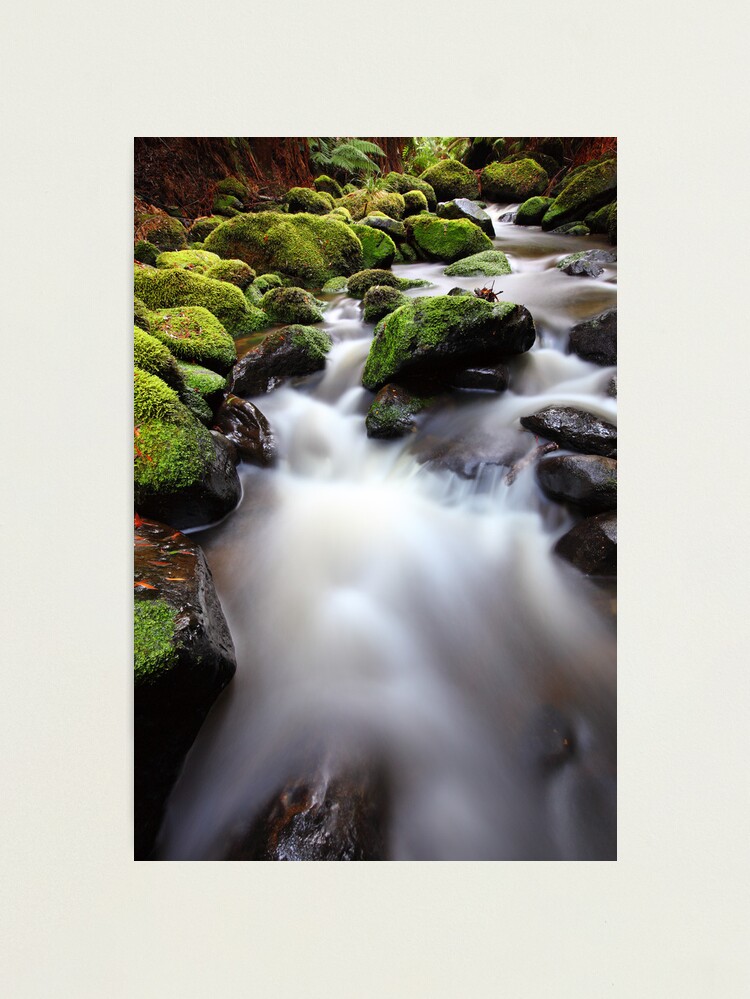 Alternate view of Verdant Stream, Otways, Great Ocean Road, Australia Photographic Print