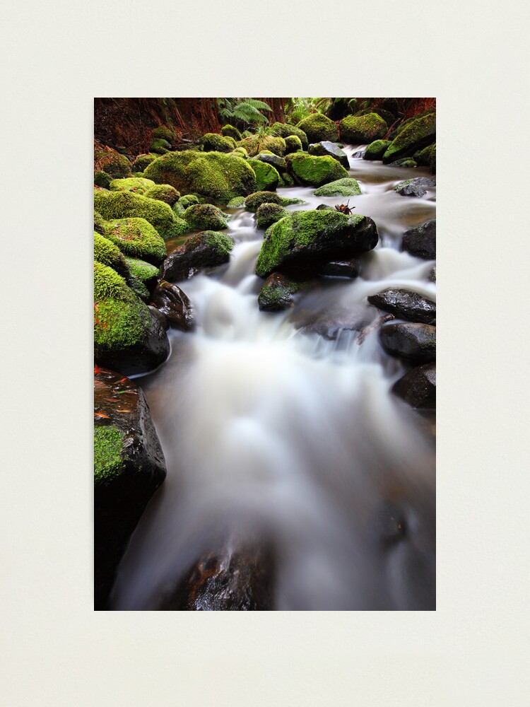 Alternate view of Verdant Stream, Otways, Great Ocean Road, Australia Photographic Print