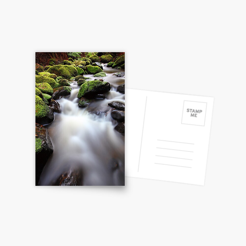 Verdant Stream, Otways, Great Ocean Road, Australia Postcard