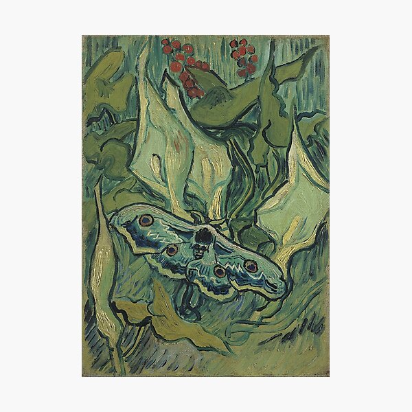 Aperçu de l'œuvre Vincent van Gogh - Empereur Moth créée et vendue par VibrantDesign.