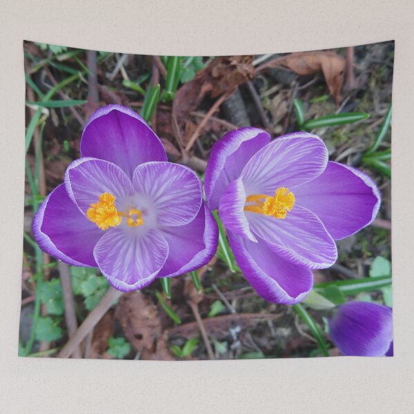 Item preview, Purple crocus #3 designed and sold by LittleBettyMakes.