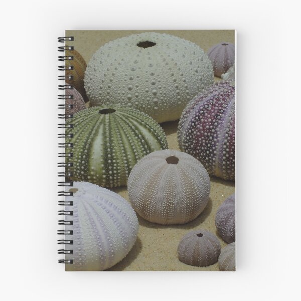 Item preview, Sea Urchin Shells designed and sold by Gabrielle  Lees.