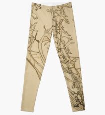 Vincent van Gogh - Tassel Hyancinth Leggings