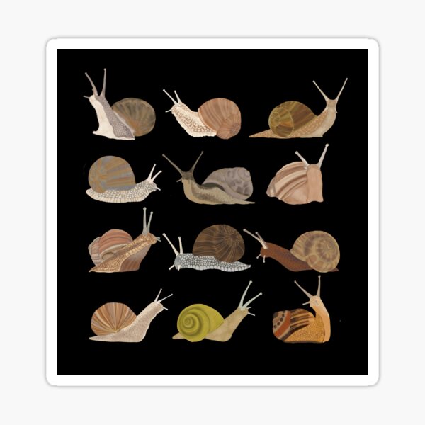 Snails Sticker