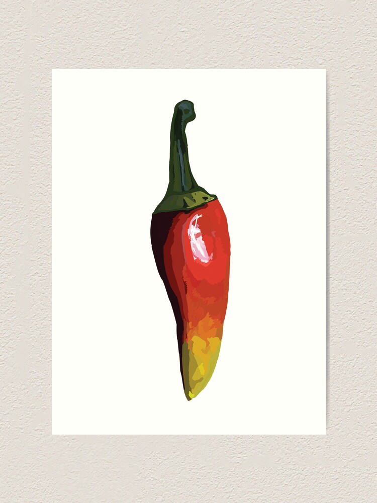 Two red chili peppers, vector drawing, flat design illustration 11539271  Vector Art at Vecteezy