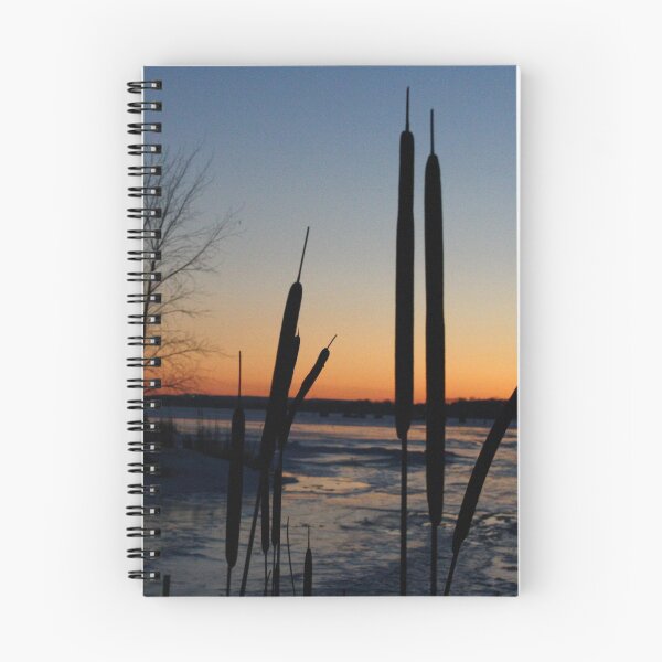 Item preview, Sunset Through the Bulrushes designed and sold by Alyce Taylor.