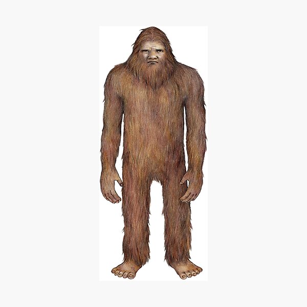 Bigfoot Photographic Print