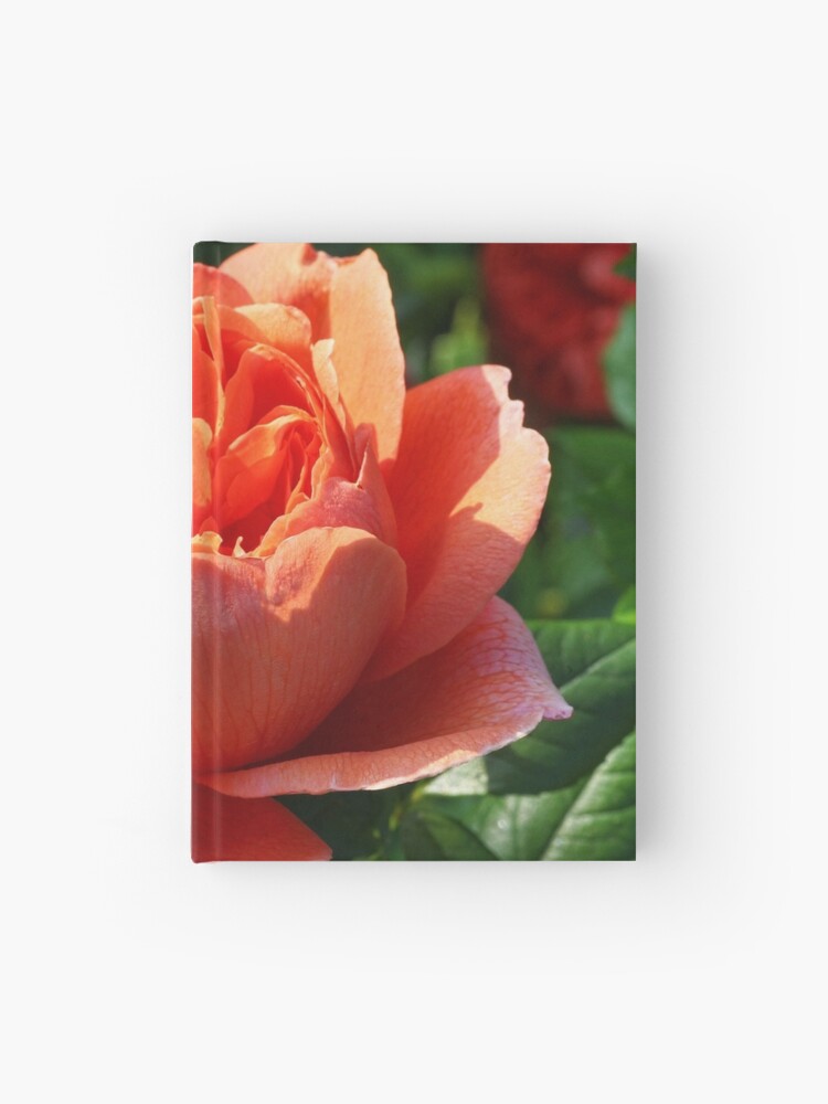 Cuaderno de tapa dura «Canción de verano de la rosa inglesa» de MaCross |  Redbubble