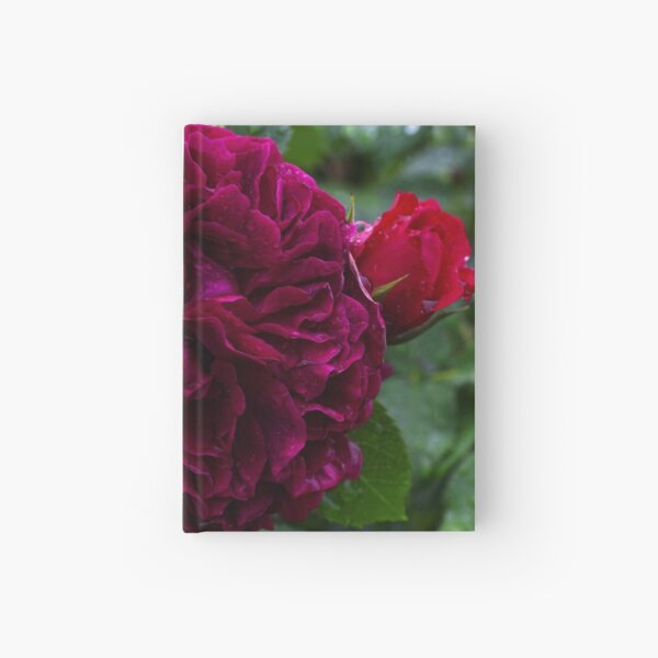 Item preview, Romantic English Rose  designed and sold by MaCross.