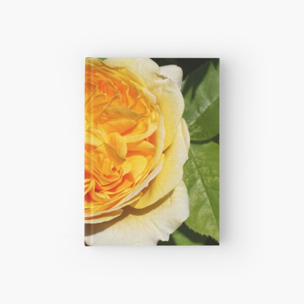 English Rose Teasing Georgia Hardcover Journal
