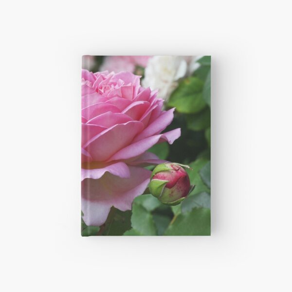 Item preview, Romantic English Rose  designed and sold by MaCross.