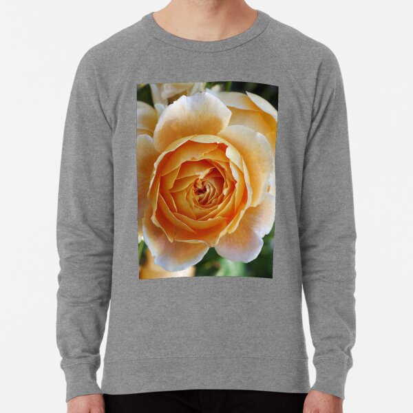 Josh Rosen Women sweatshirts online