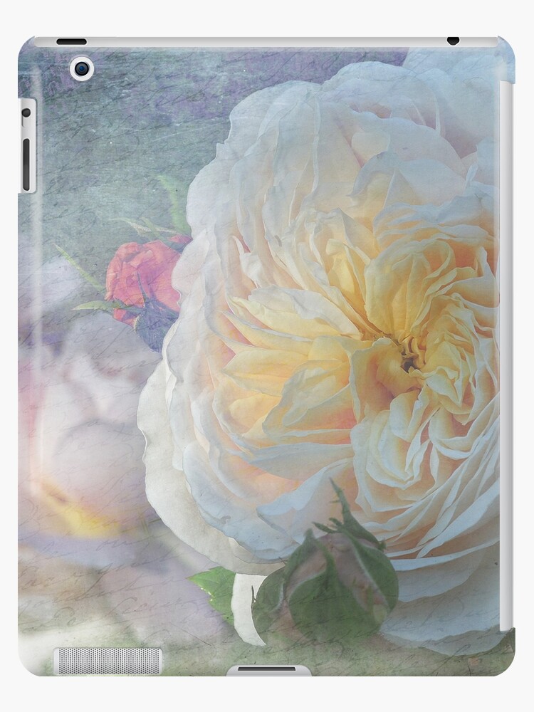 Funda y vinilo para iPad «Antigua rosa inglesa - Emanuelle» de MaCross |  Redbubble