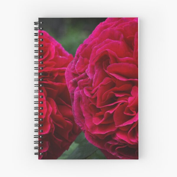 Item preview, English Rose - Falstaff designed and sold by MaCross.