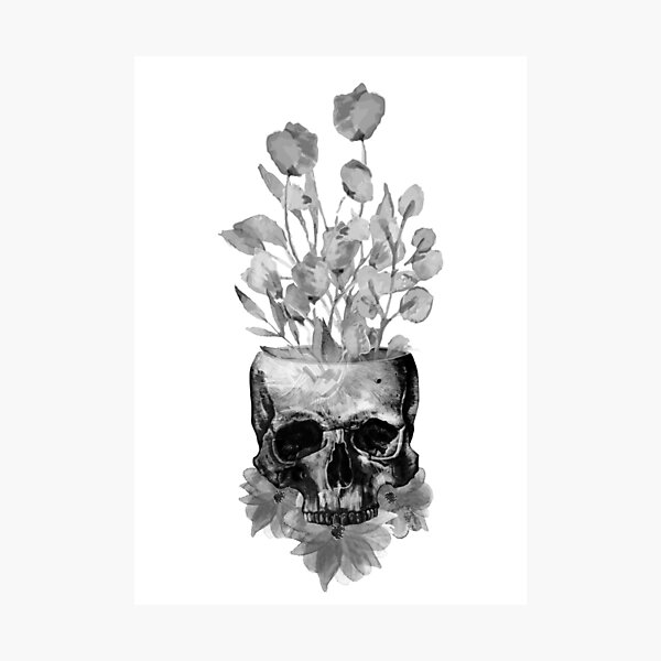 Skull Vase Wall Art for Sale | Redbubble