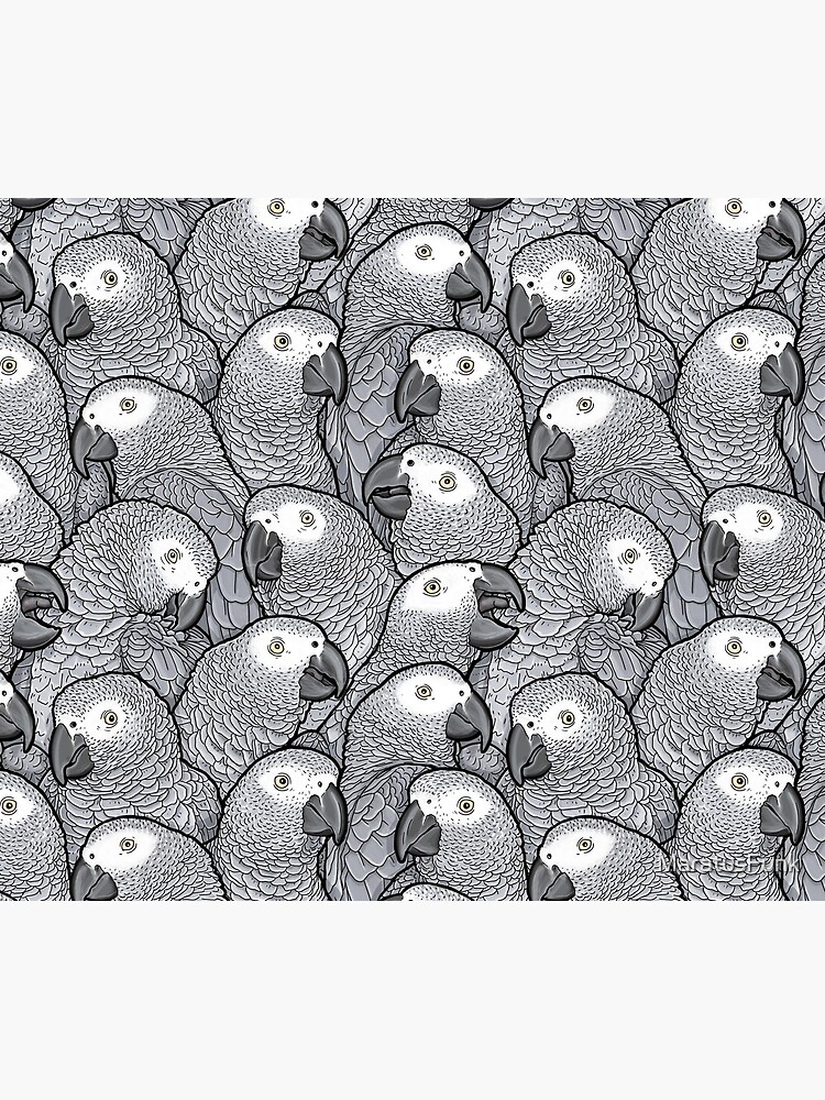 African Grey Parrots by MaratusFunk