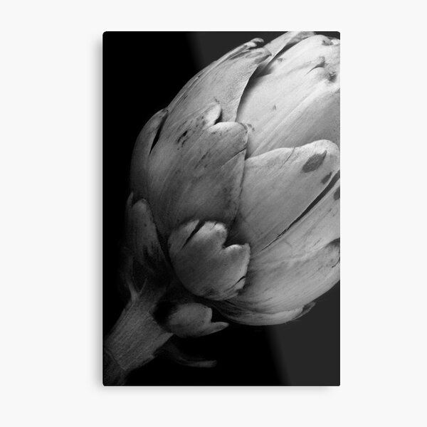 Art veggies Metal Print