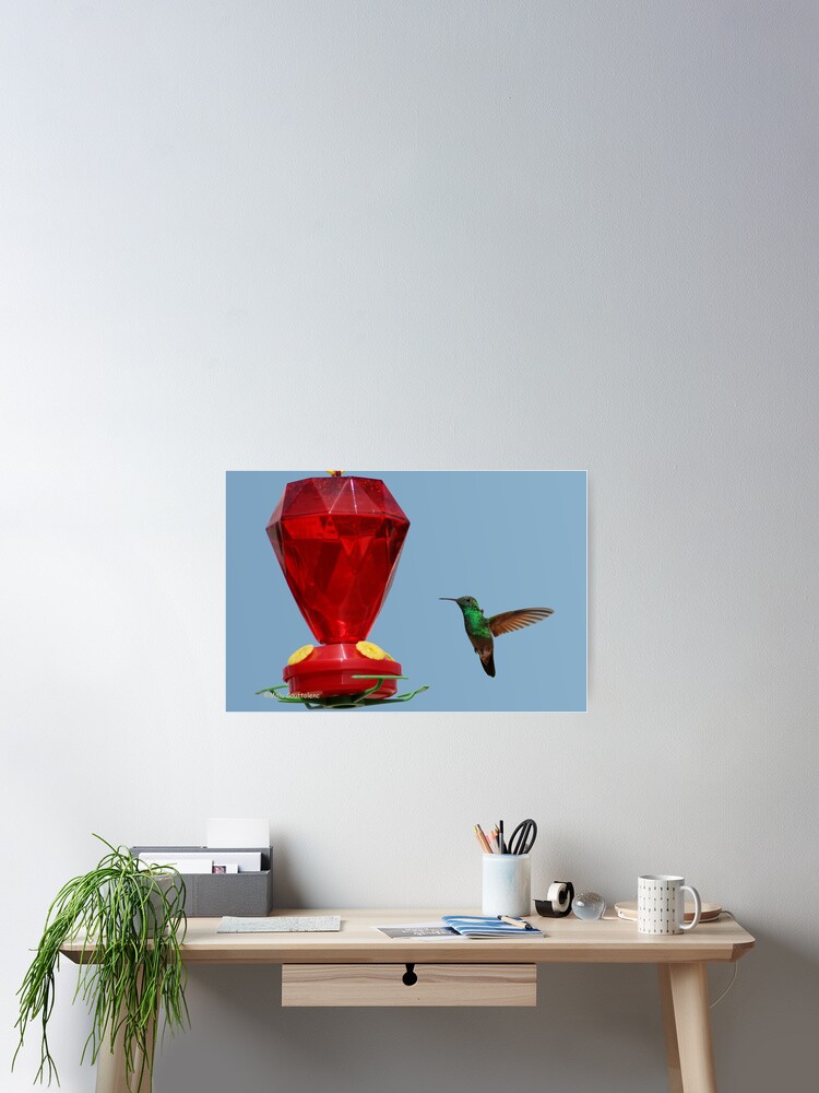 Thumbnail 2 of 3, Poster, Hummingbird.. Lunch Time1 designed and sold by MaluC.