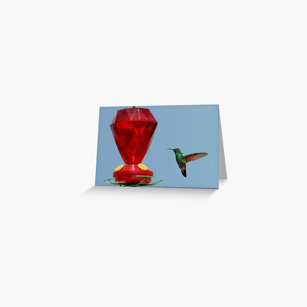 Item preview, Greeting Card designed and sold by MaluC.